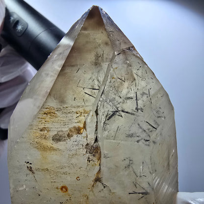 XL Turmalin Quarz, Skelett Rauchquarz mit Hyalit Erongo, Namibia 126*69*65mm #12845