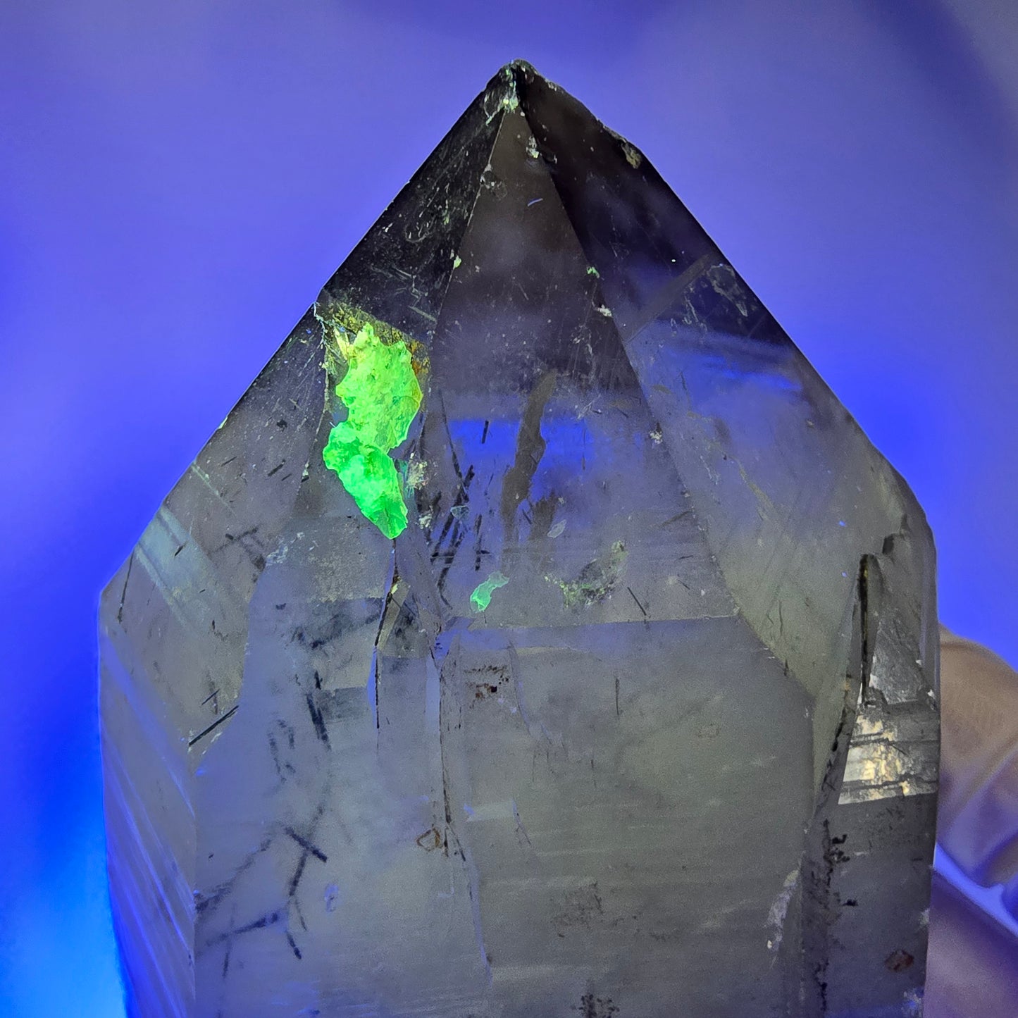 XL Turmalin Quarz, Skelett Rauchquarz mit Hyalit Erongo, Namibia 126*69*65mm #12845