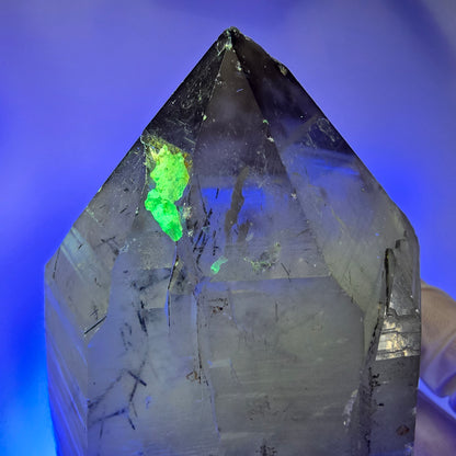 XL Turmalin Quarz, Skelett Rauchquarz mit Hyalit Erongo, Namibia 126*69*65mm #12845