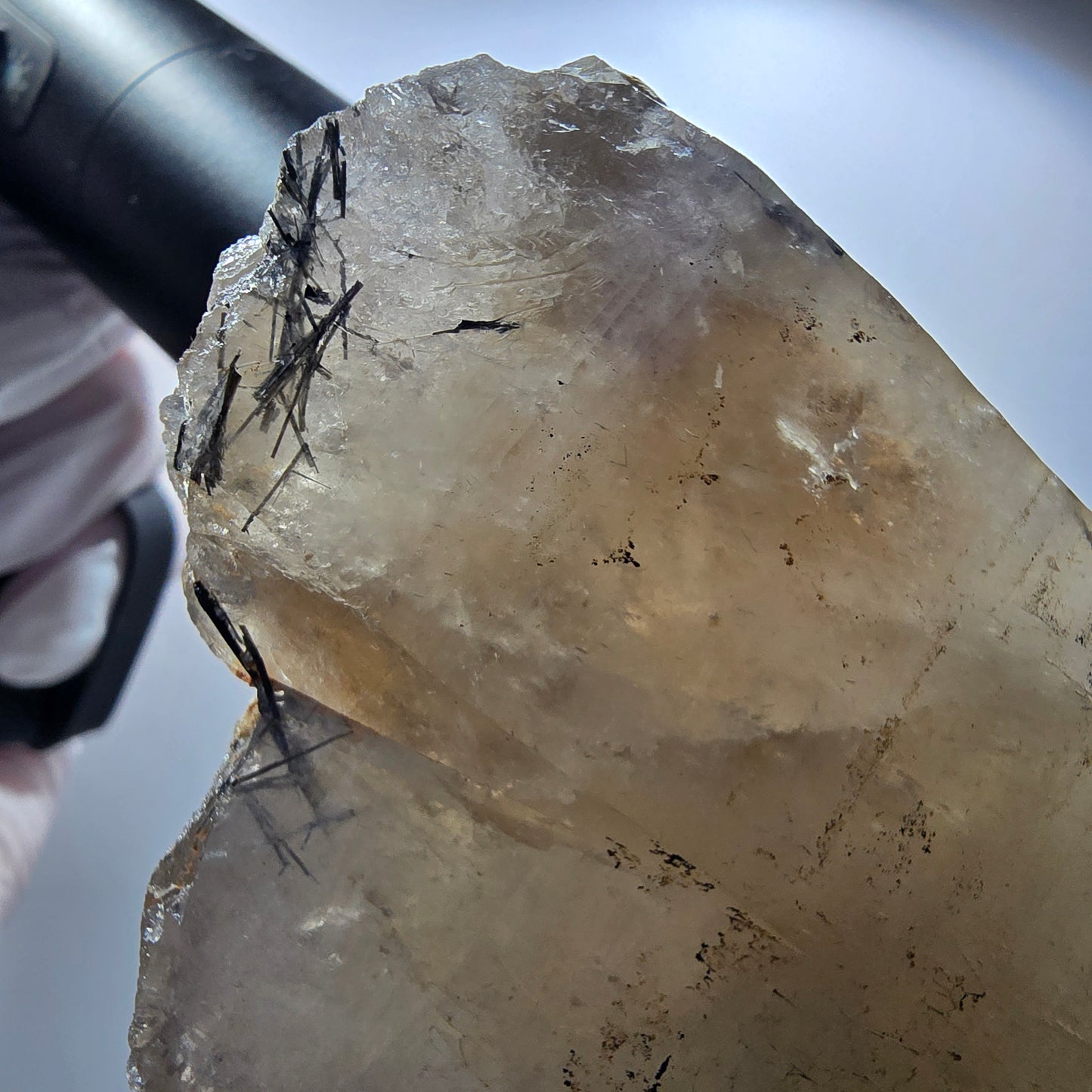 XL Turmalin Quarz, Skelett Rauchquarz mit Hyalit Erongo, Namibia 126*69*65mm #12845