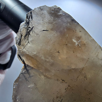 XL Turmalin Quarz, Skelett Rauchquarz mit Hyalit Erongo, Namibia 126*69*65mm #12845