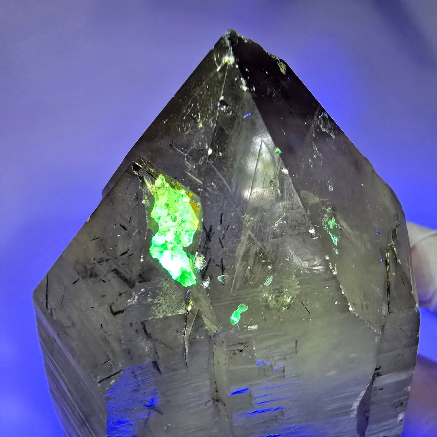 XL Turmalin Quarz, Skelett Rauchquarz mit Hyalit Erongo, Namibia 126*69*65mm #12845