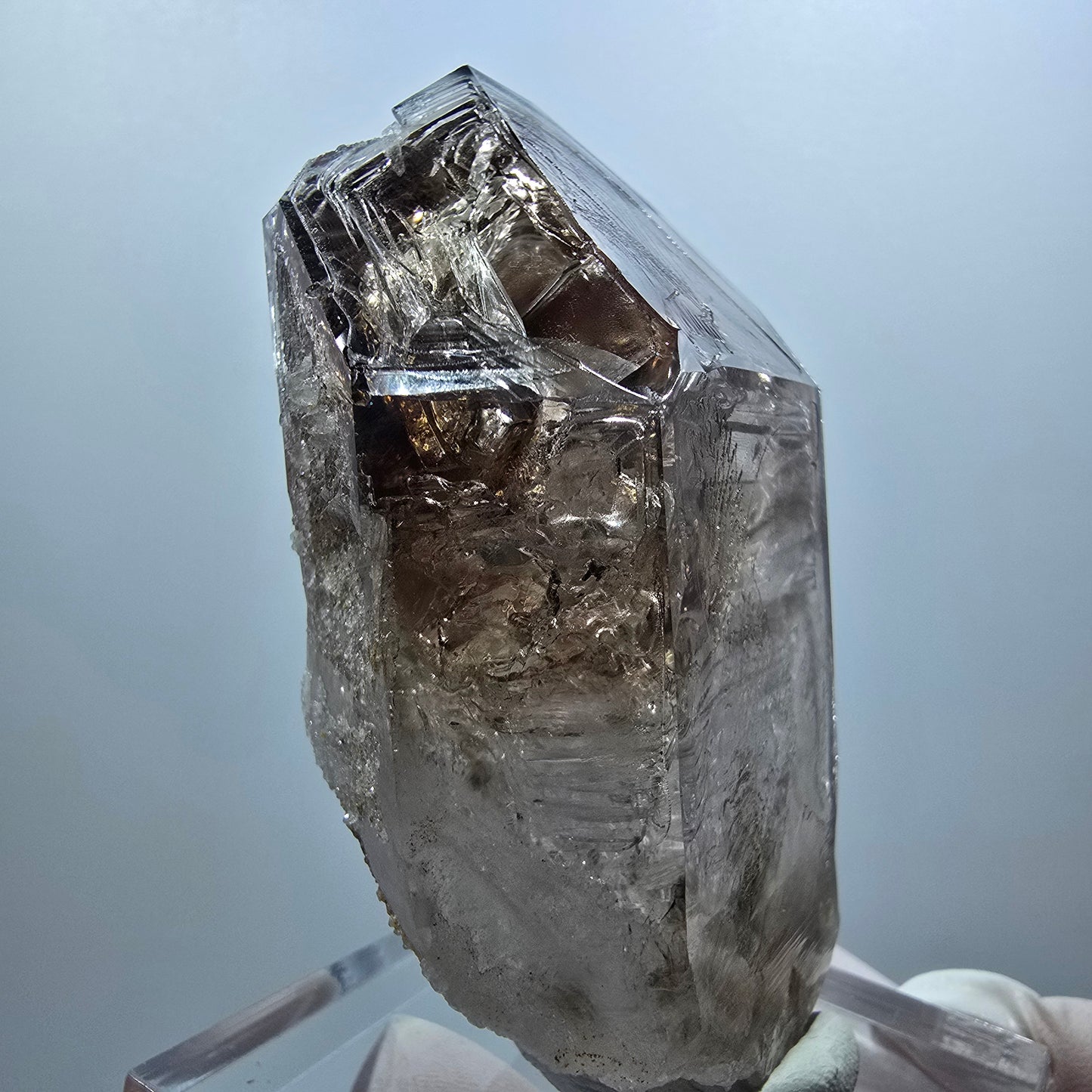 Seltene Skelett Phantom Rauchquarz Fenster Spitze Goboboseb, Namibia 74*42*28mm #12846