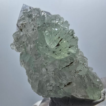 Lemurian Phantom Amethyst mit Prehnit Streep Mine Goboboseb Namibia 38*21*17mm #12871
