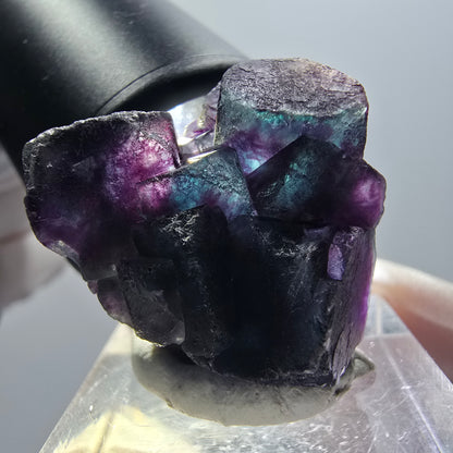 Seltene Phantom Fluorit Würfel Stufe, blau lila grün Okorusu, Namibia 25*24*17mm #12886