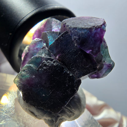 Seltene Phantom Fluorit Würfel Stufe, blau lila grün Okorusu, Namibia 25*24*17mm #12886