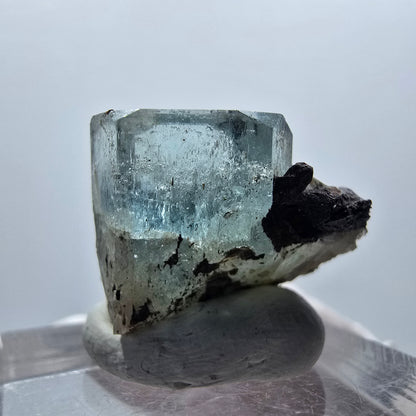 Aigue-marine claire X Cristal avec Tourmaline Schorl Erongo, Namibie 22*17*16mm #12907