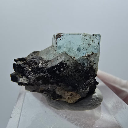 Aigue-marine claire X Cristal avec Tourmaline Schorl Erongo, Namibie 22*17*16mm #12907