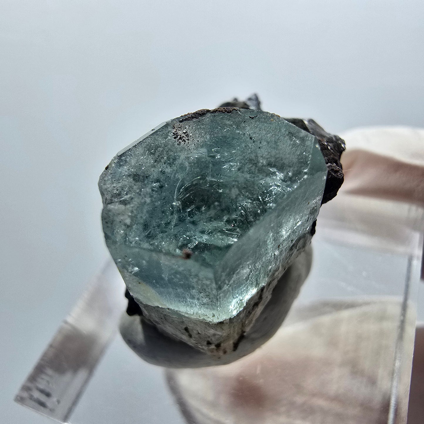 Aigue-marine claire X Cristal avec Tourmaline Schorl Erongo, Namibie 22*17*16mm #12907