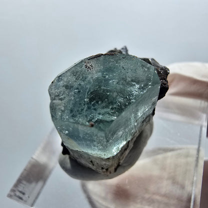 Aigue-marine claire X Cristal avec Tourmaline Schorl Erongo, Namibie 22*17*16mm #12907