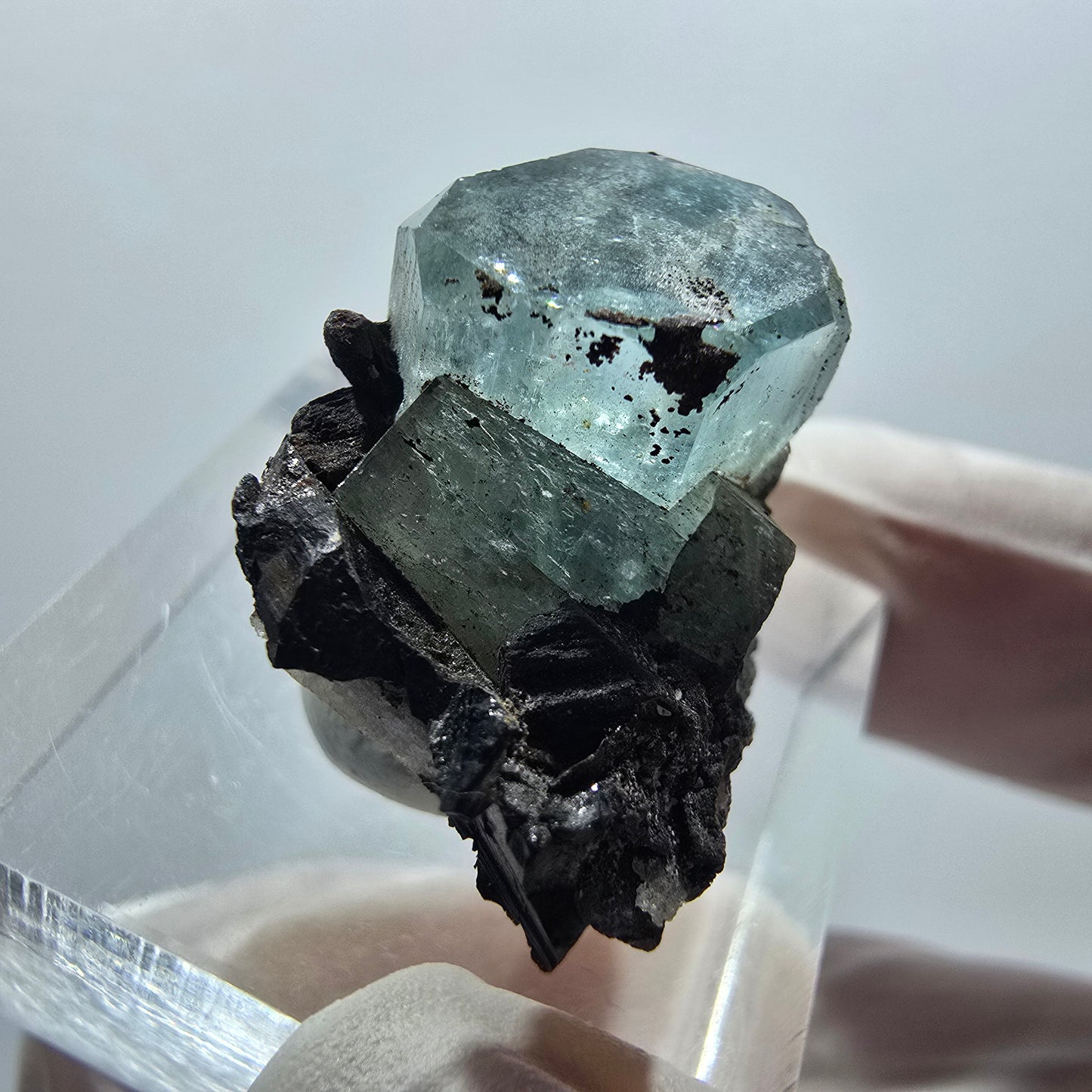 Aigue-marine claire X Cristal avec Tourmaline Schorl Erongo, Namibie 22*17*16mm #12907