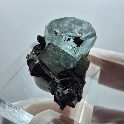 Aigue-marine claire X Cristal avec Tourmaline Schorl Erongo, Namibie 22*17*16mm #12907