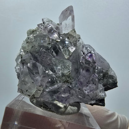 Harlekin Starburst Phantom Amethyst, Calcit auf Matrix Streep Mine, Namibia 45*37*25mm #12939