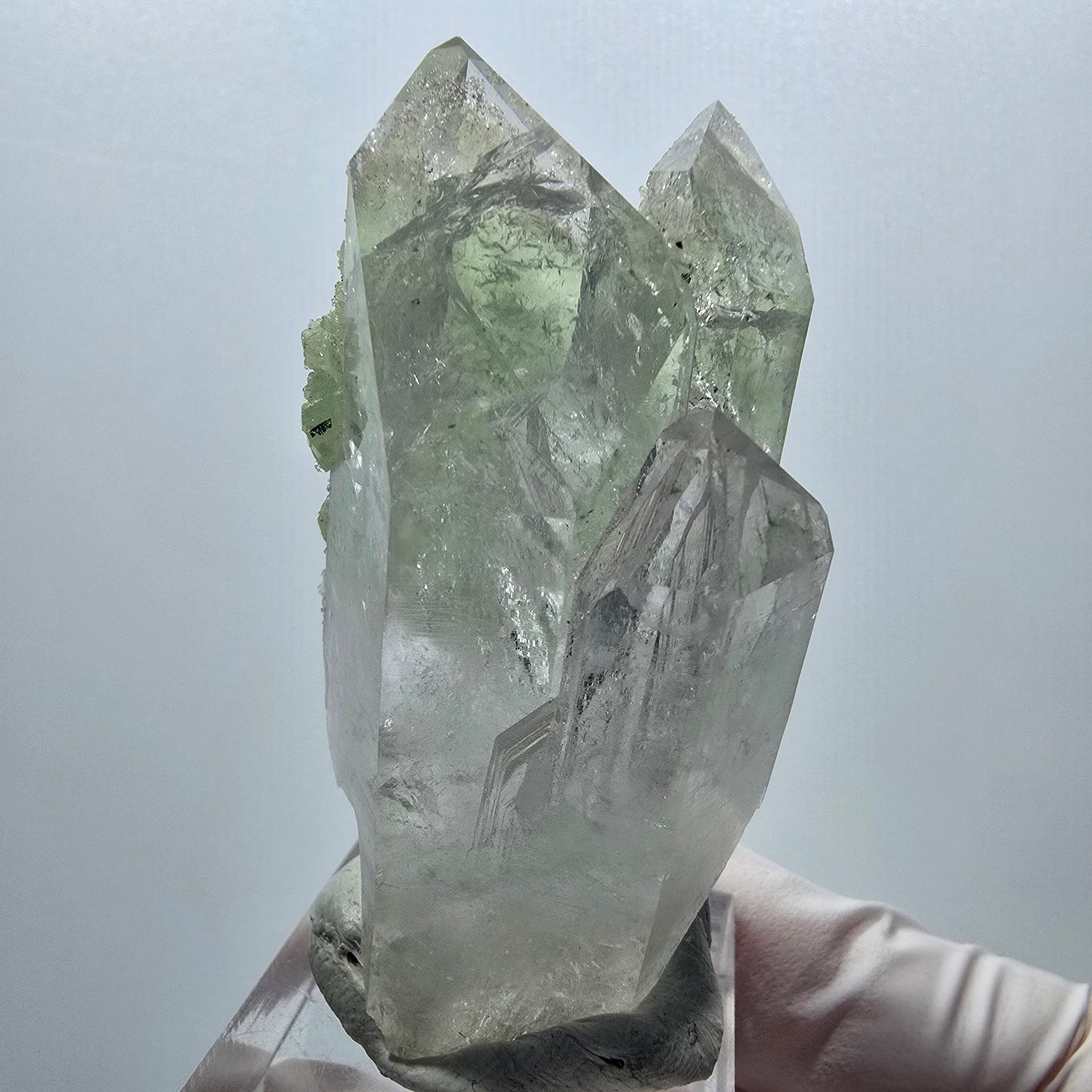 Sehr klare Lemurian Quarz Prehnit Stufe Streep Mine Goboboseb Namibia 58*32*26mm #12943