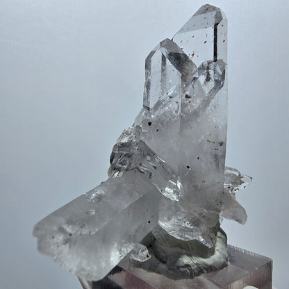 Harlekin Lemurian Skelett Rauchquarz Doppelender Stufe Streep Mine, Namibia 56*51*29mm #12948