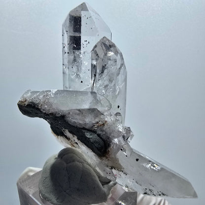 Harlekin Lemurian Skelett Rauchquarz Doppelender Stufe Streep Mine, Namibia 56*51*29mm #12948