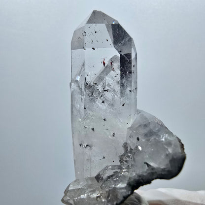 Harlekin Lemurian Skelett Rauchquarz Doppelender Stufe Streep Mine, Namibia 56*51*29mm #12948