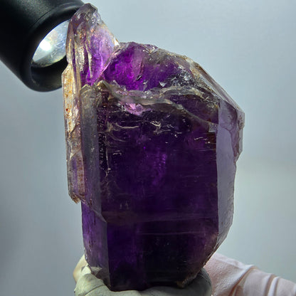 Seltene Skelett Phantom Amethyst Zepter Spitze Goboboseb, Namibia 64*46*30mm #12953