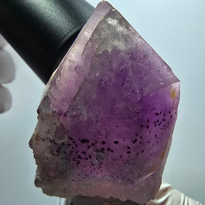 Seltene Skelett Phantom Amethyst Zepter Spitze Goboboseb, Namibia 60*35*36mm #12954