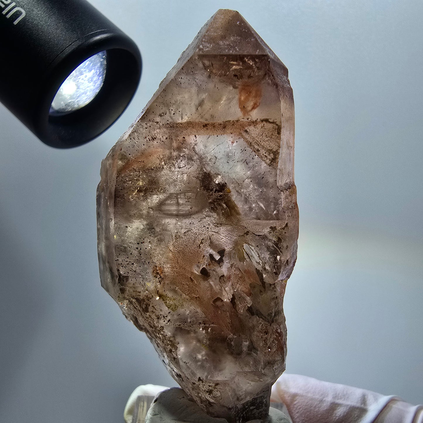Seltene Skelett Phantom Rauchquarz Doppelender Spitze Goboboseb, Namibia 70*31*19mm #12955