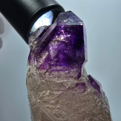 Seltene Skelett Phantom Amethyst Zepter Spitze Goboboseb, Namibia 71*38*33mm #12956