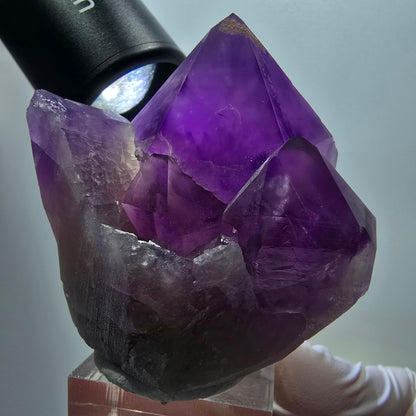 Seltene Skelett Phantom Amethyst Zepter Stufe Goboboseb, Namibia 49*52*41mm #12957