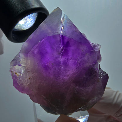 Seltene Skelett Phantom Amethyst Zepter Stufe Goboboseb, Namibia 49*52*41mm #12957