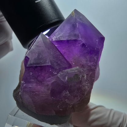 Seltene Skelett Phantom Amethyst Zepter Stufe Goboboseb, Namibia 49*52*41mm #12957