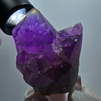 Seltene Skelett Phantom Amethyst Zepter Stufe Goboboseb, Namibia 49*52*41mm #12957