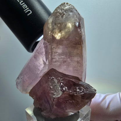 Seltene Skelett Phantom Amethyst Spitze Goboboseb, Namibia 56*41*37mm #12959