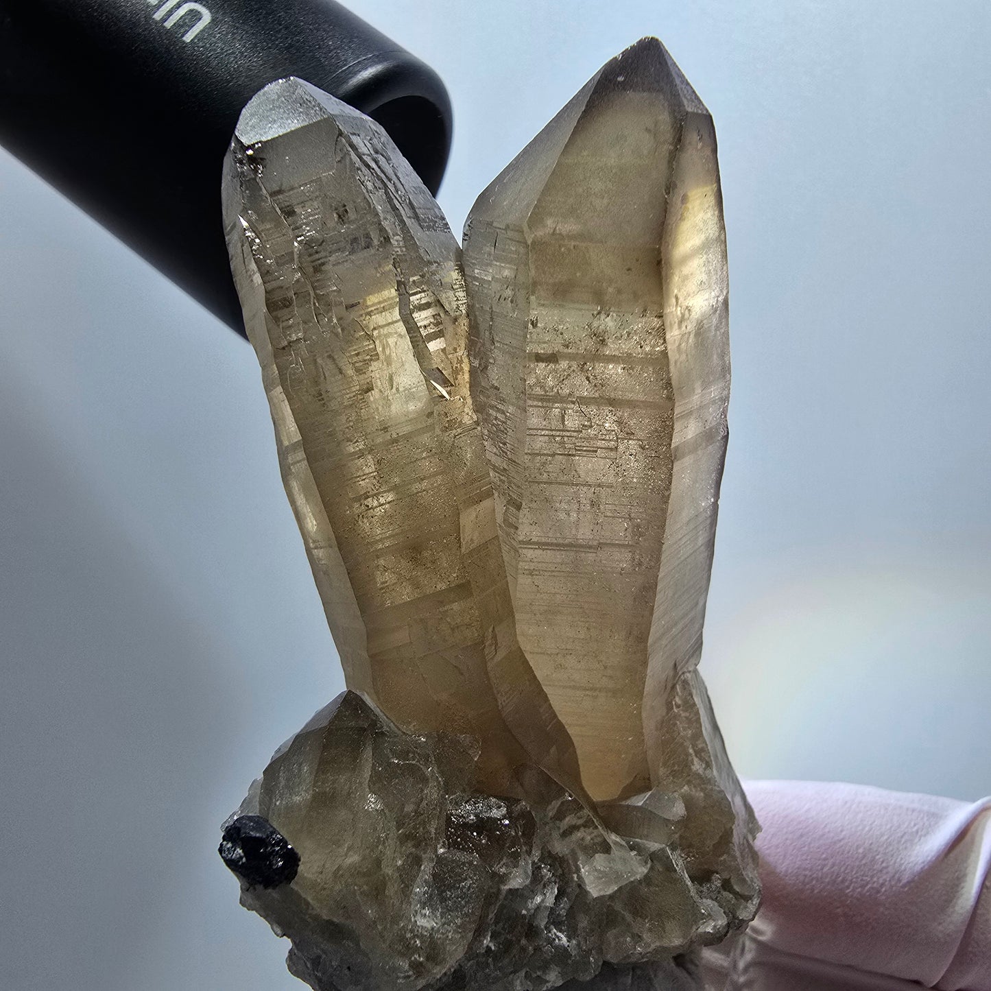 Skelett Phantom Rauchquarz mit Schörl Turmalin Stufe Erongo, Namibia 74*42*31mm #12961