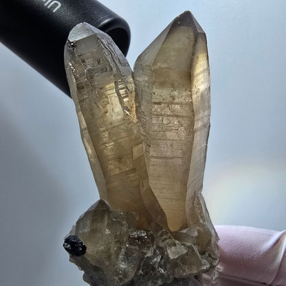 Skelett Phantom Rauchquarz mit Schörl Turmalin Stufe Erongo, Namibia 74*42*31mm #12961