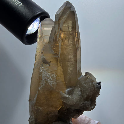 Skelett Phantom Rauchquarz mit Schörl Turmalin Stufe Erongo, Namibia 74*42*31mm #12961