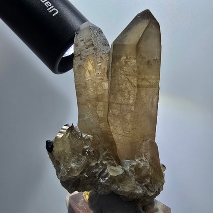 Skelett Phantom Rauchquarz mit Schörl Turmalin Stufe Erongo, Namibia 74*42*31mm #12961