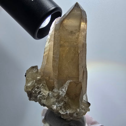 Skelett Phantom Rauchquarz mit Schörl Turmalin Stufe Erongo, Namibia 74*42*31mm #12961