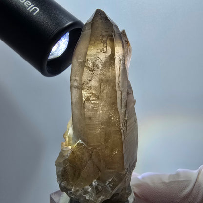 Skelett Phantom Rauchquarz mit Schörl Turmalin Stufe Erongo, Namibia 74*42*31mm #12961