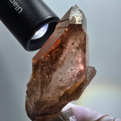 Enhydro Skelett Phantom Rauchquarz Doppelender Zepter Goboboseb, Namibia 74*43*24mm #12966