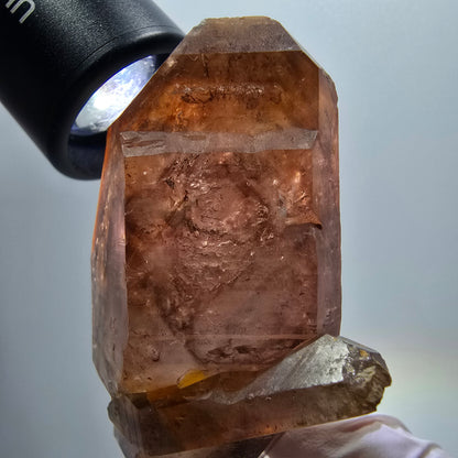 Enhydro Skelett Phantom Rauchquarz Doppelender Zepter Goboboseb, Namibia 74*43*24mm #12966