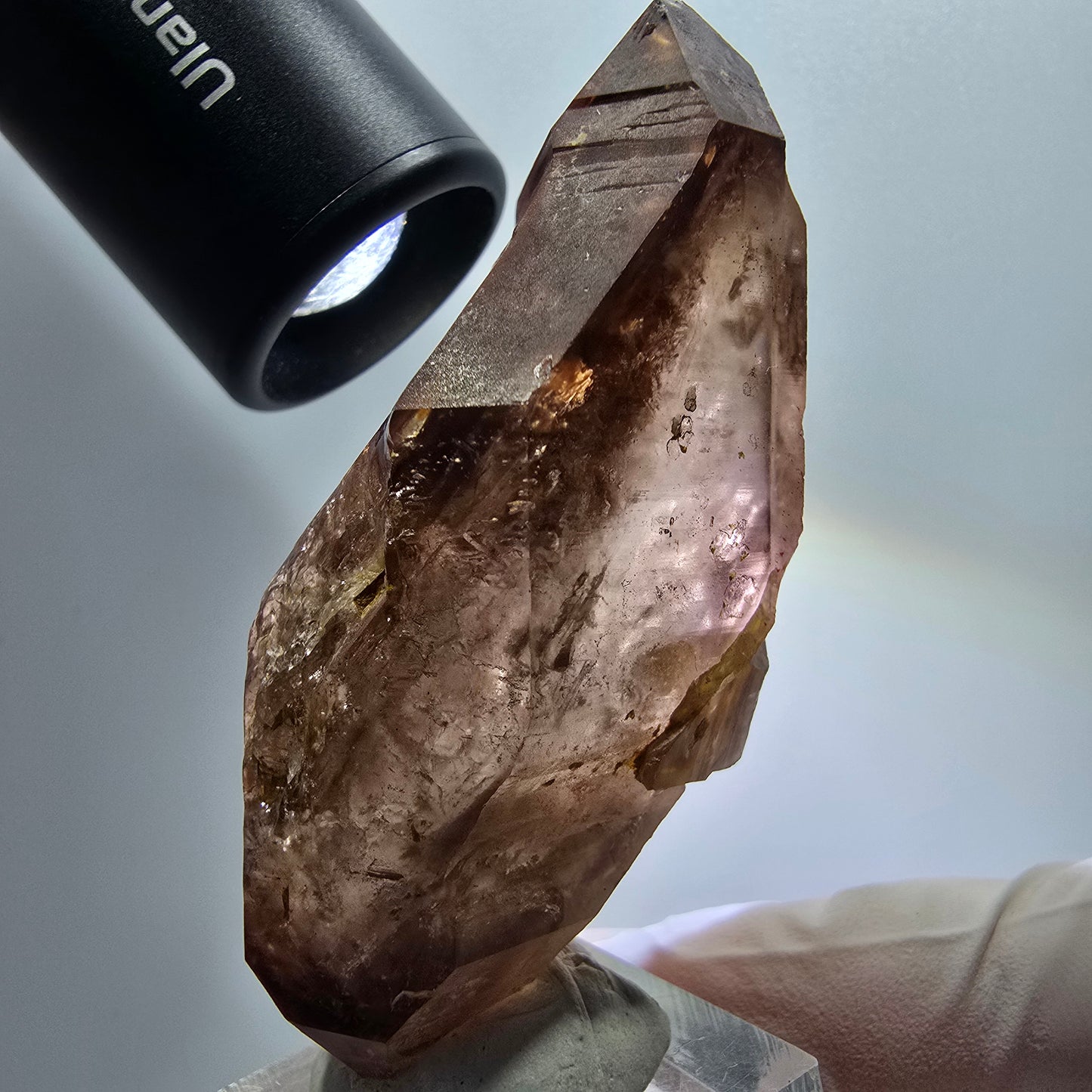 Enhydro Skelett Phantom Rauchquarz Doppelender Zepter Goboboseb, Namibia 74*43*24mm #12966