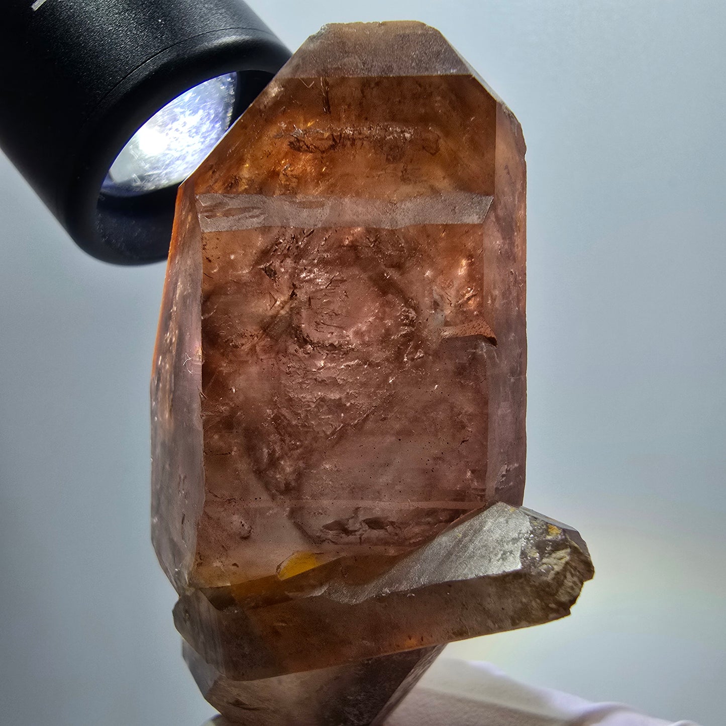 Enhydro Skelett Phantom Rauchquarz Doppelender Zepter Goboboseb, Namibia 74*43*24mm #12966