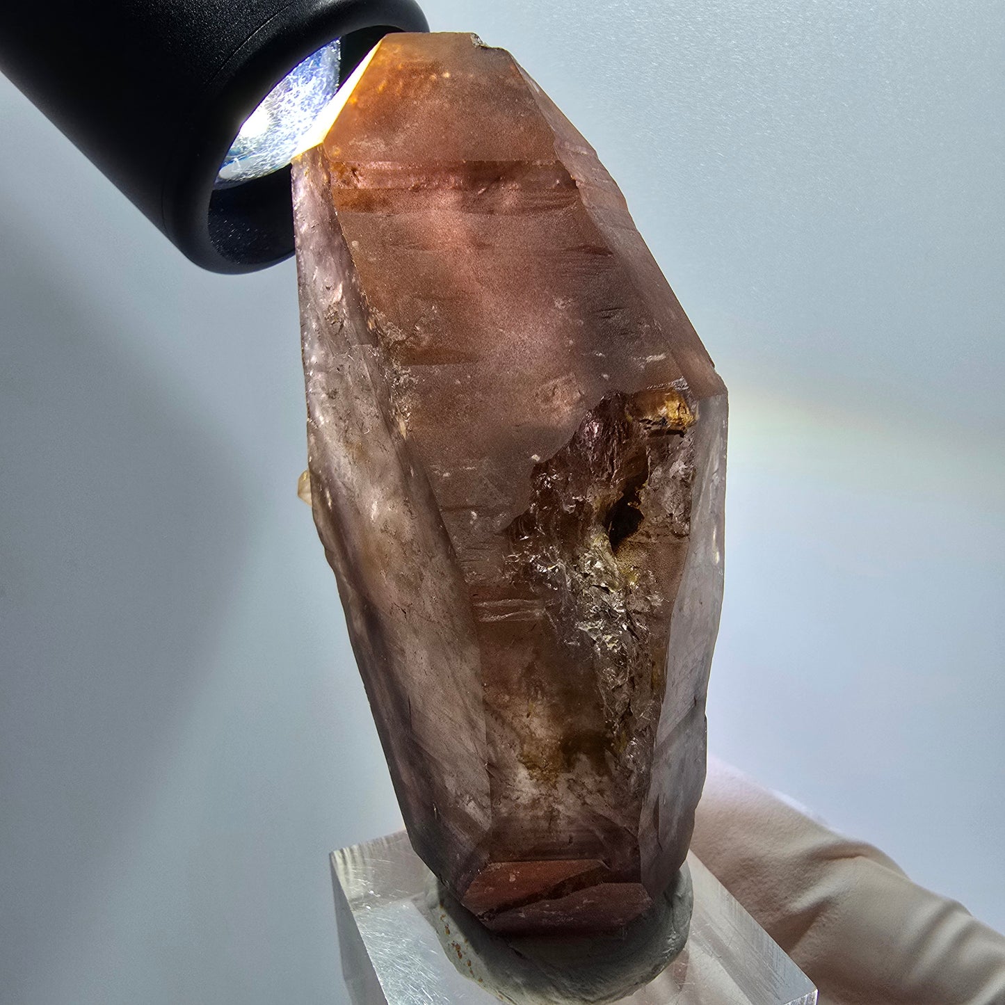 Enhydro Skelett Phantom Rauchquarz Doppelender Zepter Goboboseb, Namibia 74*43*24mm #12966