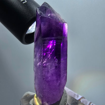 Enhydro Skelett Phantom Amethyst Spitze, 1x Blase Goboboseb, Namibia 65*24*15mm #12974