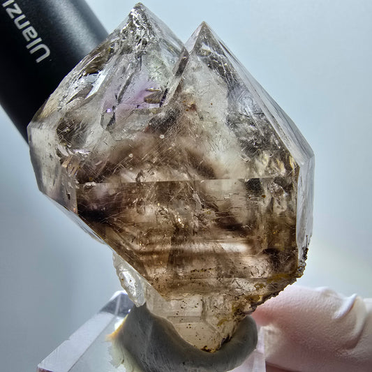 Enhydro Skelett Phantom Rauchquarz Zepter, 3x Blase (große) Goboboseb, Namibia 57*43*34mm #12976