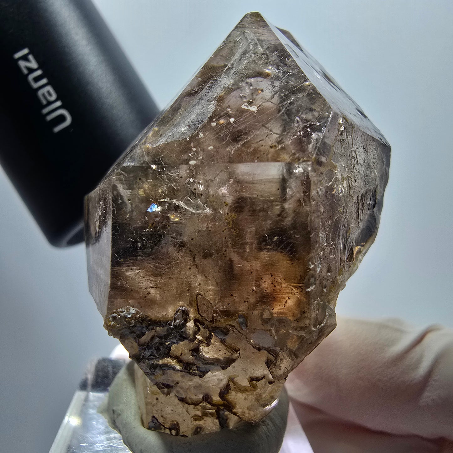 Enhydro Skelett Phantom Rauchquarz Zepter, 3x Blase (große) Goboboseb, Namibia 57*43*34mm #12976