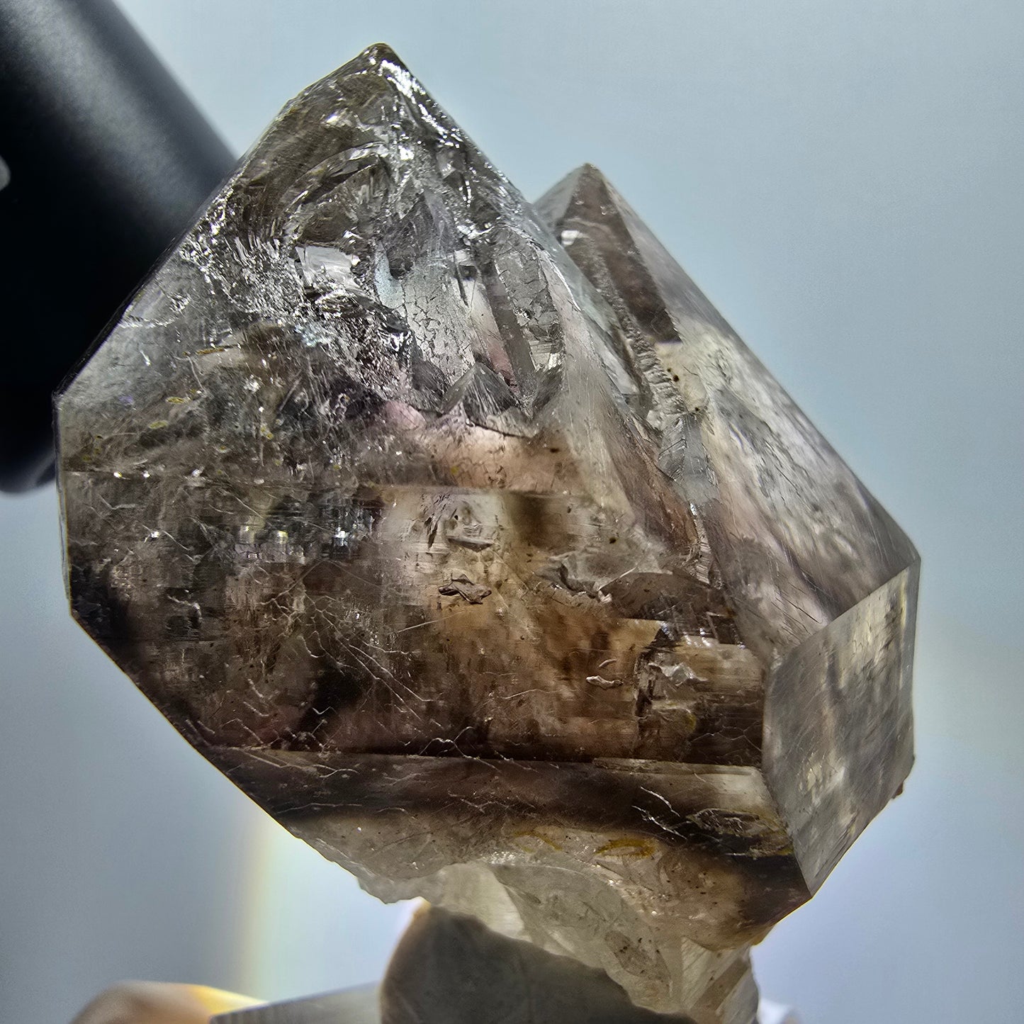 Enhydro Skelett Phantom Rauchquarz Zepter, 3x Blase (große) Goboboseb, Namibia 57*43*34mm #12976
