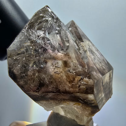 Enhydro Skelett Phantom Rauchquarz Zepter, 3x Blase (große) Goboboseb, Namibia 57*43*34mm #12976