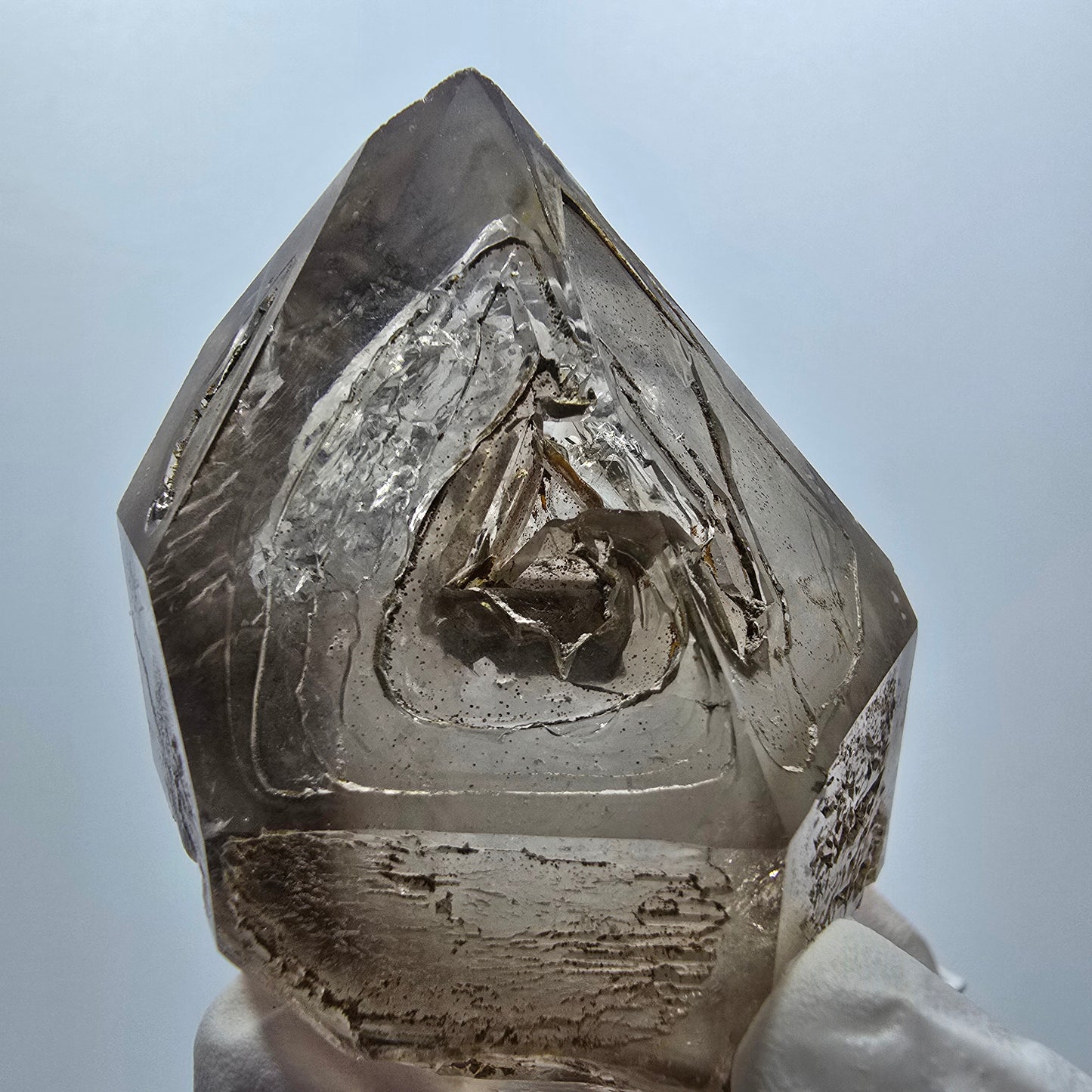 Enhydro Skelett Phantom Rauchquarz DT Zepter, 2x Blase Goboboseb, Namibia 61*41*32mm #12981