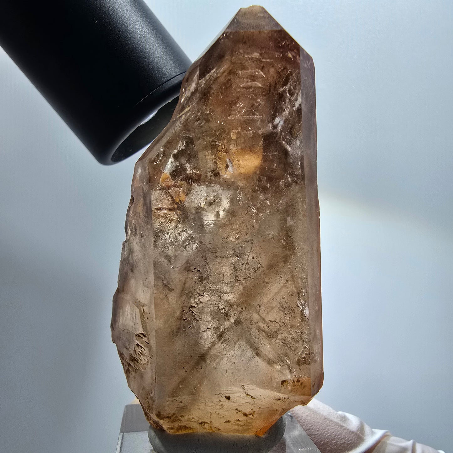 Enhydro Skelett Phantom Rauchquarz Spitze, 2x Blase Goboboseb Namibia 65*38*25mm #12982