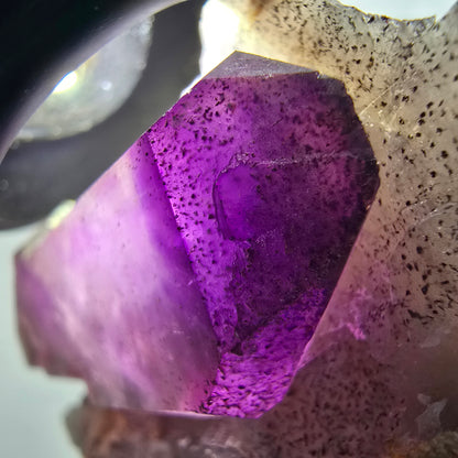 Seltene Skelett Phantom Amethyst Doppelender Stufe Goboboseb, Namibia 59*46*35mm #12983