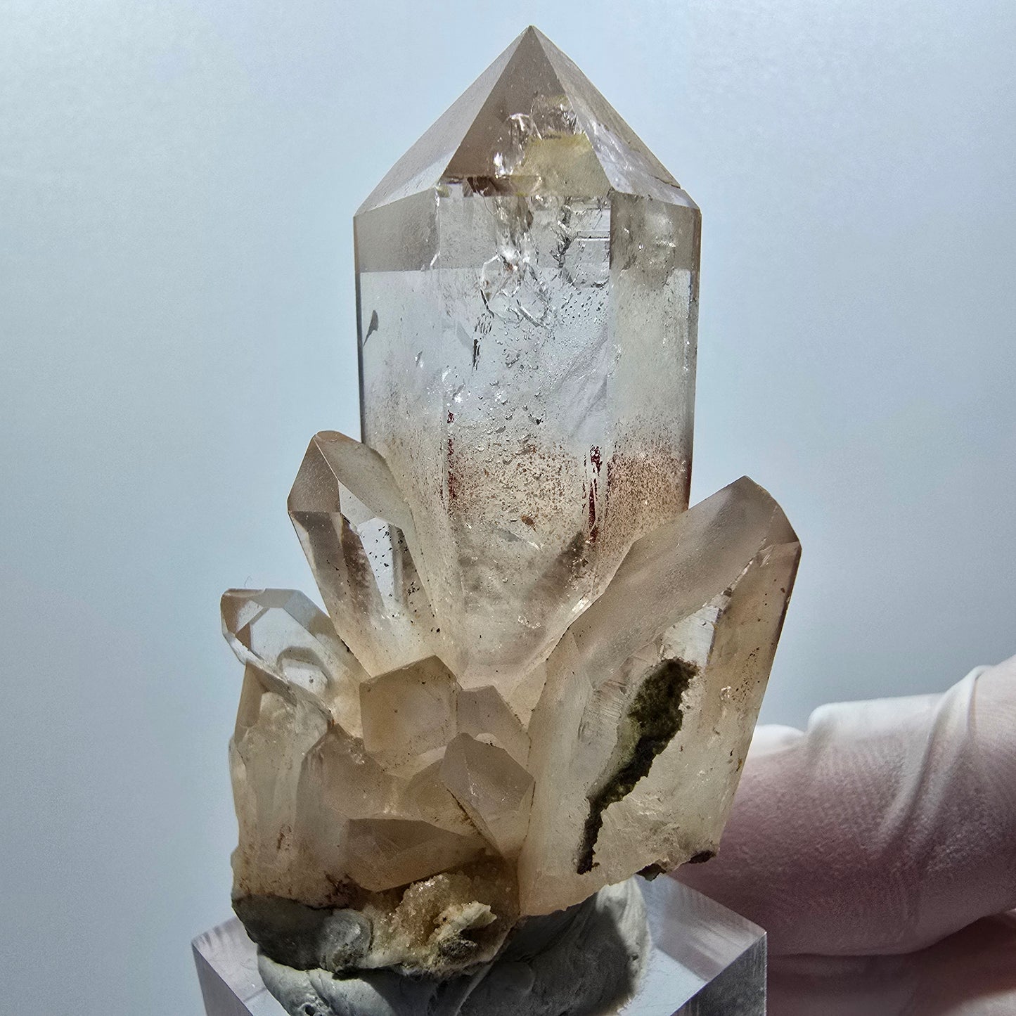 Seltene Phantom Rauchquarz Zepter Stufe Goboboseb, Namibia 62*36*26mm #12986